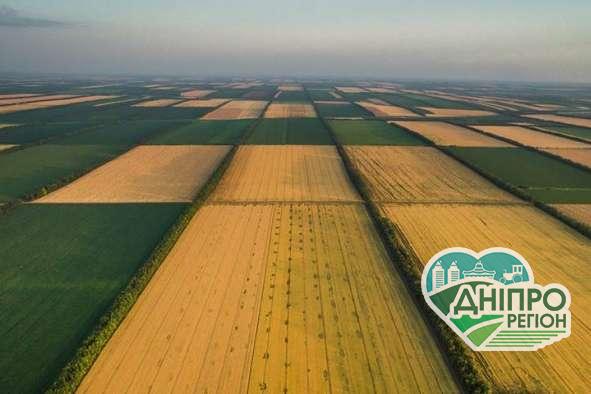 Земля подорожчає, не поспішайте продавати: скільки дадуть за гектар після відкриття ринку