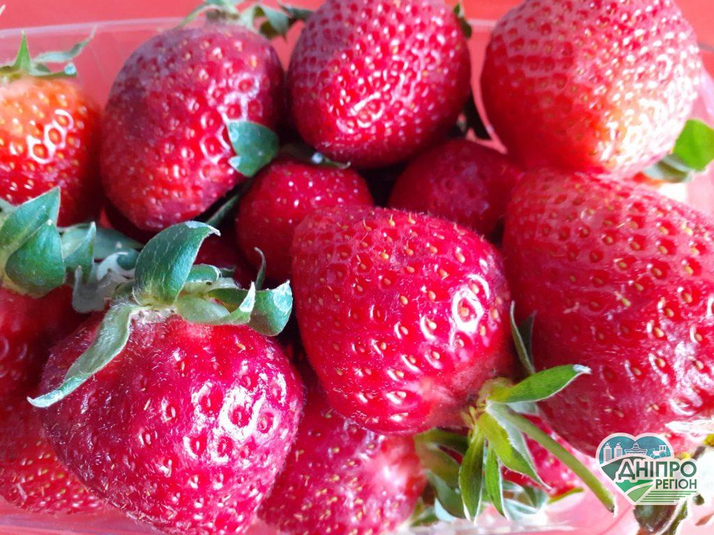 На Дніпропетровщині почався полуничний рай: ціна на ягоду стрімко падає (ФОТО)
