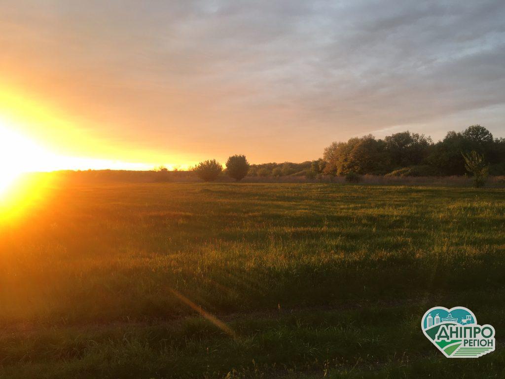 Перещепинський лелека: недалеко від Дніпра є унікальна у світі діюча криниця (ФОТО)