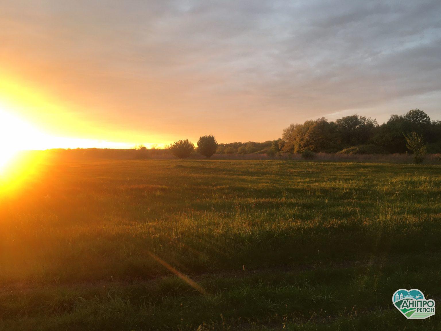 Перещепинський лелека: недалеко від Дніпра є унікальна у світі діюча криниця (ФОТО) Перещепинський лелека: недалеко від Дніпра є унікальна у світі діюча криниця (ФОТО)