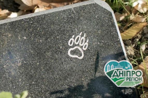 Кладовища домашніх тварин у Дніпрі: як правильно та безпечно поховати домашнього улюбленця Кладовища домашніх тварин у Дніпрі: як правильно та безпечно поховати домашнього улюбленця
