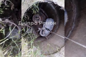 У Марганці рятувальники дістали козу, яка впала у колодязь (ФОТО)