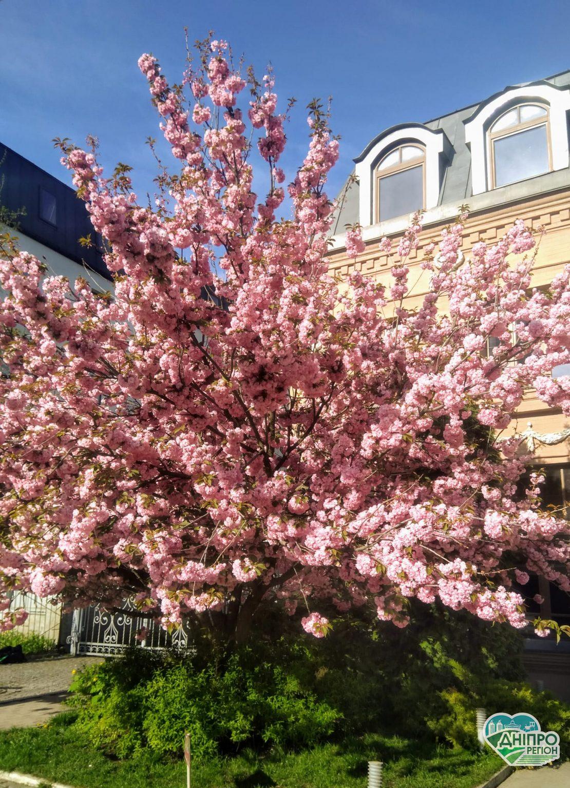 Прогноз погоди в Дніпрі та області з 8 по 12 травня від відомого синоптика Прогноз погоди в Дніпрі та області з 8 по 12 травня від відомого синоптика