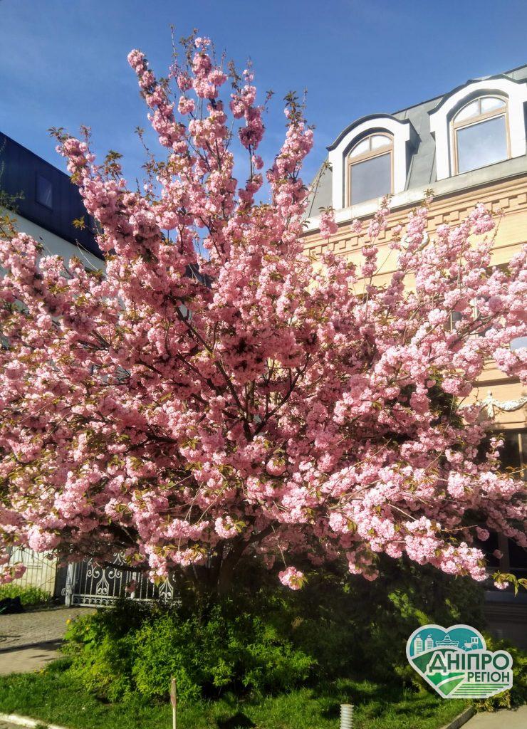 Прогноз погоди в Дніпрі та області з 8 по 12 травня від відомого синоптика Прогноз погоди в Дніпрі та області з 8 по 12 травня від відомого синоптика