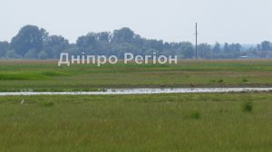 На Дніпропетровщині знищують Булахівський лиман (ФОТО)