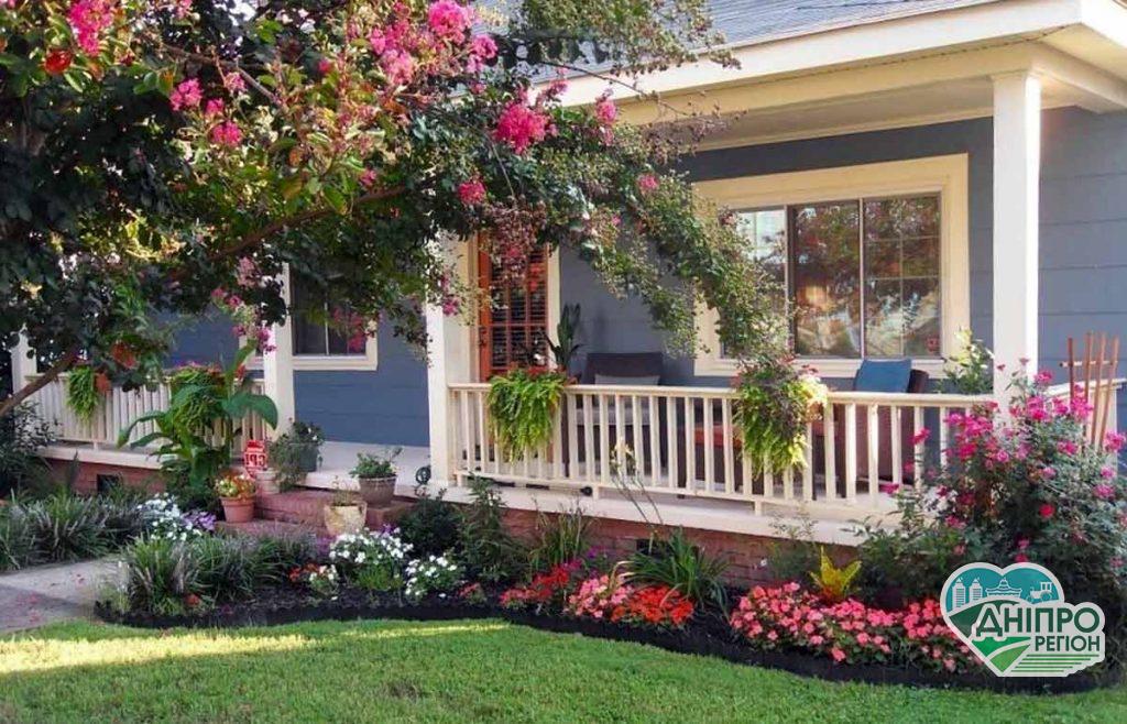 Які дерева не можна садити на подвір’ї Які дерева не можна садити на подвір'ї