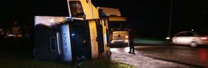 На Дніпропетровщині перекинулась фура з кіньми (ФОТО)