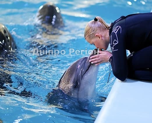 Кирилівка: дельфінарій «Оскар» зустріне відвідувачів з оновленою програмою
