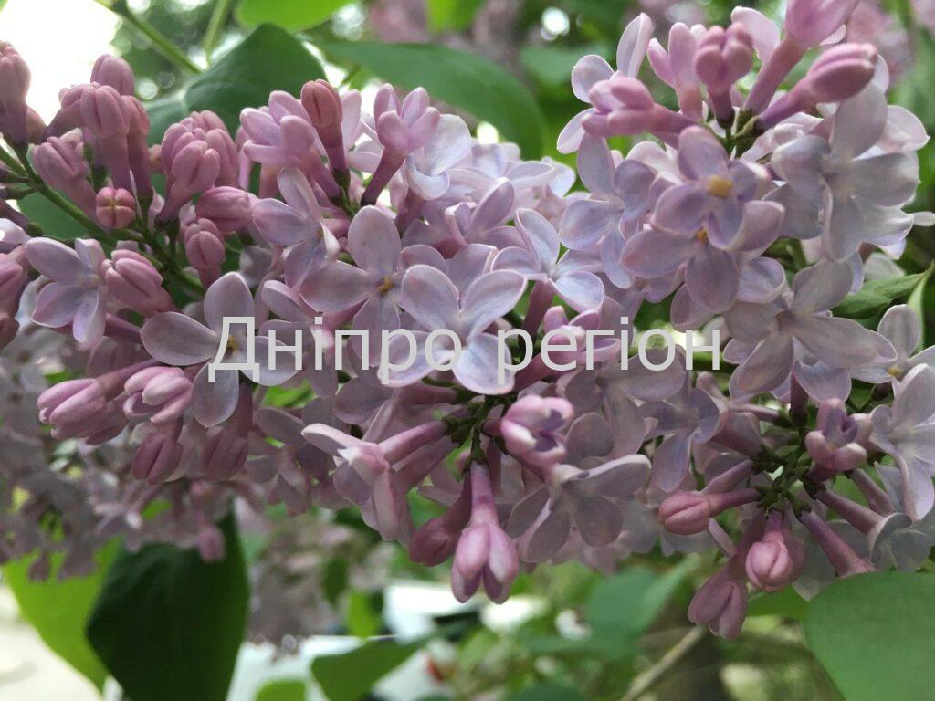 6 травня: день Георгія Побідоносця та Іверської ікони Божої Матері 11 травня - день святителя Кирила: традиції, прикмети та що заборонено робити