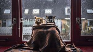 В Україну йде сильне похолодання: названа дата