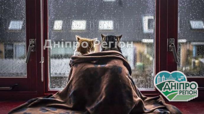 В Україну йде сильне похолодання: названа дата В Україну йде сильне похолодання: названа дата