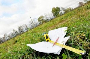 Законні два гектари землі отримають не всі: кому з українців пощастить