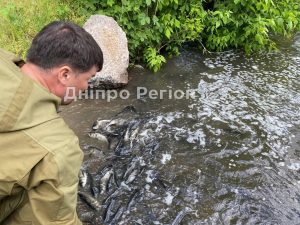 Зариблення: у Дніпро випустили 1000 кг толстолоба (ФОТО)