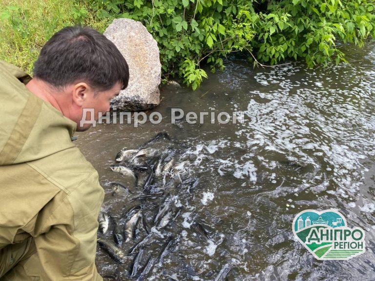 Зариблення: у Дніпро випустили 1000 кг толстолоба (ФОТО)