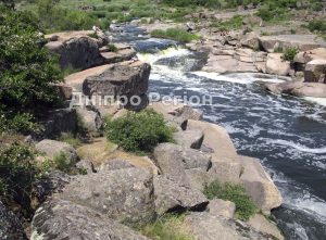 Вперше біля Нікополя проведуть фестиваль «Часовий злам» (Фото)