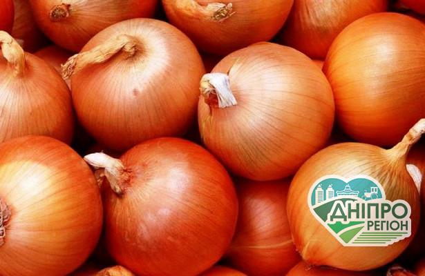 В Україні різко зросли ціни на цибулю: скільки платити