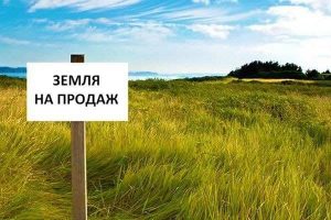 Коли запрацює ринок землі. Кому забороняється купувати землю