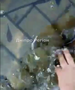 Після дощу люди руками збирають рибу (ВІДЕО)