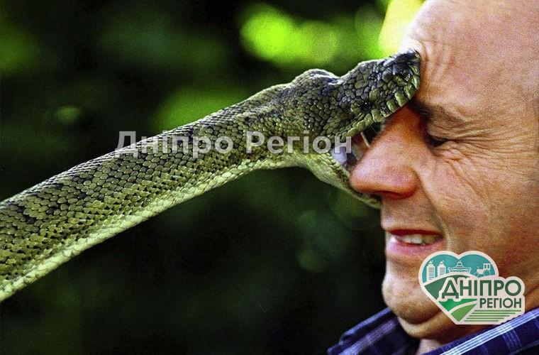Обережно, змії! Що треба знати, щоб уберегтися Обережно, змії! Що треба знати, щоб уберегтися