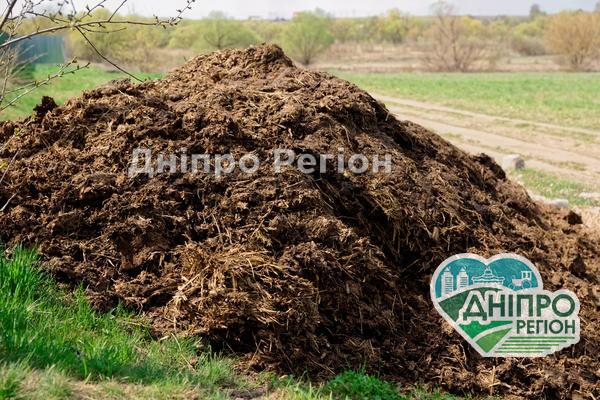 Знайшли звалище свинячого гною: на Дніпропетровщині забруднили 1,6 гектара землі азотом і нітратами Знайшли звалище свинячого гною: на Дніпропетровщині забруднили 1,6 гектара землі азотом і нітратами