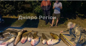 На Дніпропетровщині виявили підпільні рибні цехи: вилучено 5 тон продукції (фото)