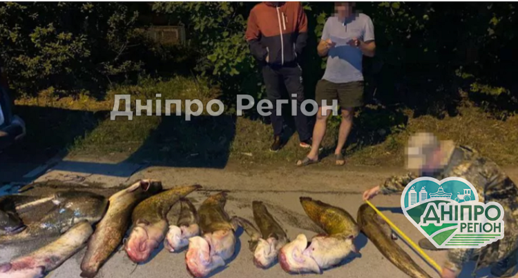 На Дніпропетровщині виявили підпільні рибні цехи: вилучено 5 тон продукції (фото) На Дніпропетровщині виявили підпільні рибні цехи: вилучено 5 тон продукції (фото)