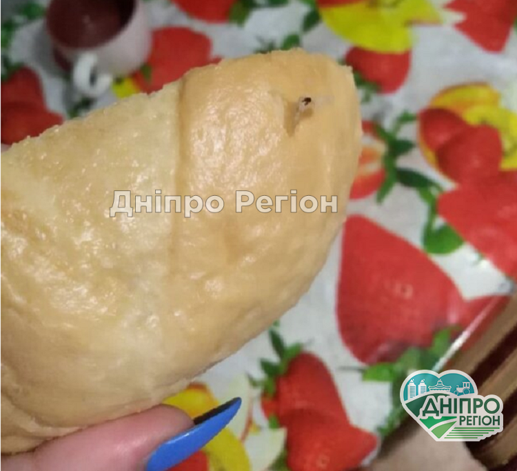 У Дніпрі в скоринці хліба дівчина виявила таргана (ФОТО) Дивом не з`їла: у Дніпрі в скоринці хліба дівчина виявила таргана (ФОТО)