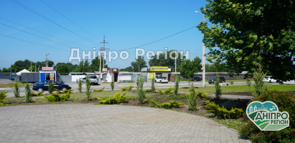 У Дніпрі на вулиці Висоцького з’явилася алея ялівцю (ФОТО) У Дніпрі на вулиці Висоцького з’явилася алея ялівцю (ФОТО)