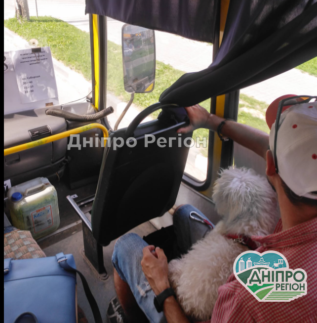 У Дніпрі просять поступатися місцем у транспорті пасажирам із собаками У Дніпрі просять поступатися місцем у транспорті пасажирам із собаками