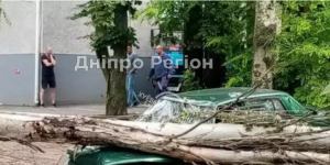 На волосинці від смерті: під Дніпром дерево впало на машину з людьми,  вони не ледь не загинули (ВІДЕО)