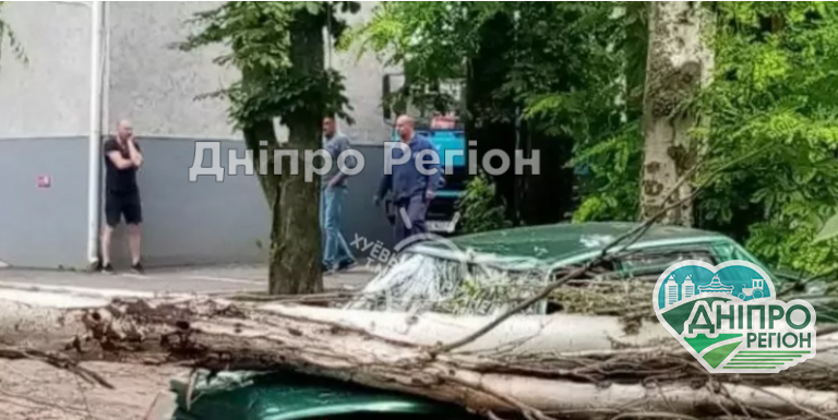 На волосинці від смерті: під Дніпром дерево впало на машину з людьми, вони не ледь не загинули (ВІДЕО)