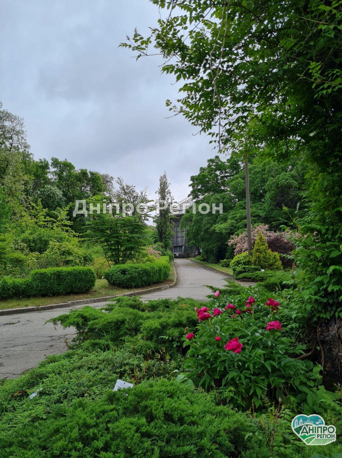 У Дніпрі в ботсад ДНУ просять приходити з використаними батарейками У Дніпрі ботсад ДНУ запрошує всіх охочіх побачити красу