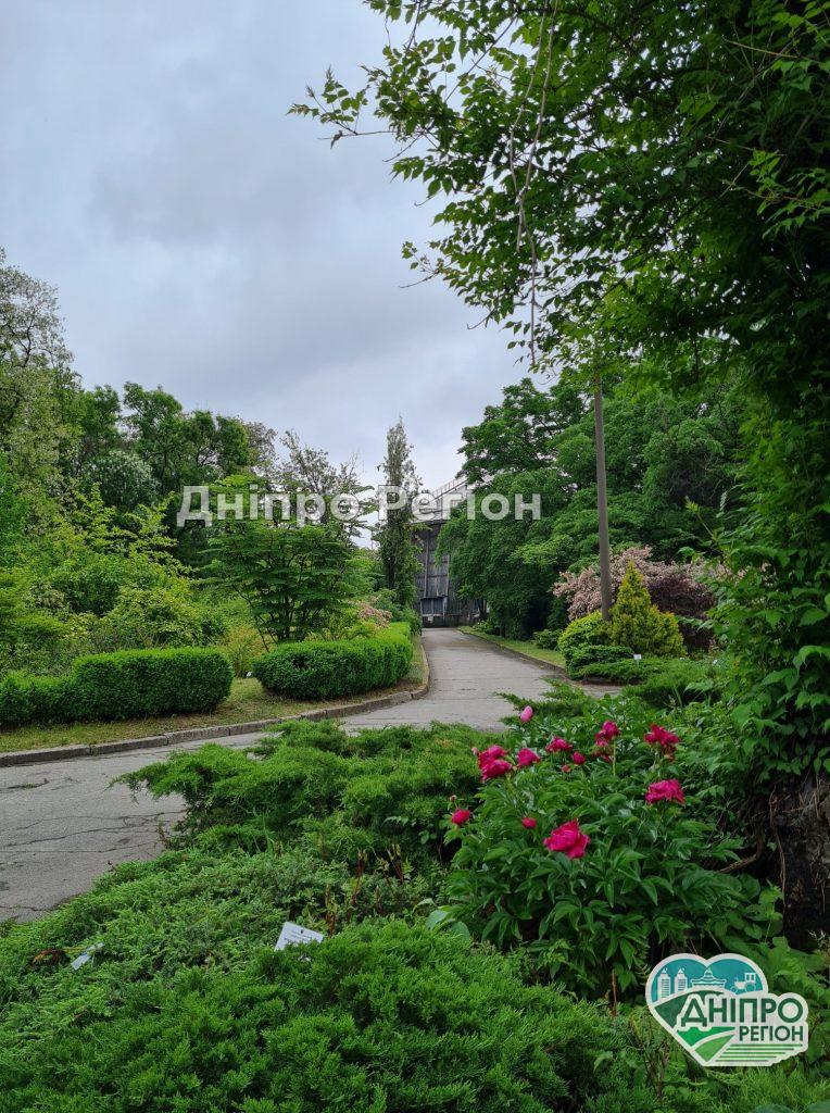 У Дніпрі ботсад ДНУ запрошує всіх охочіх побачити красу