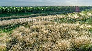 На Дніпропетровщині вирішили продати цінні та особливо охоронювані природні території