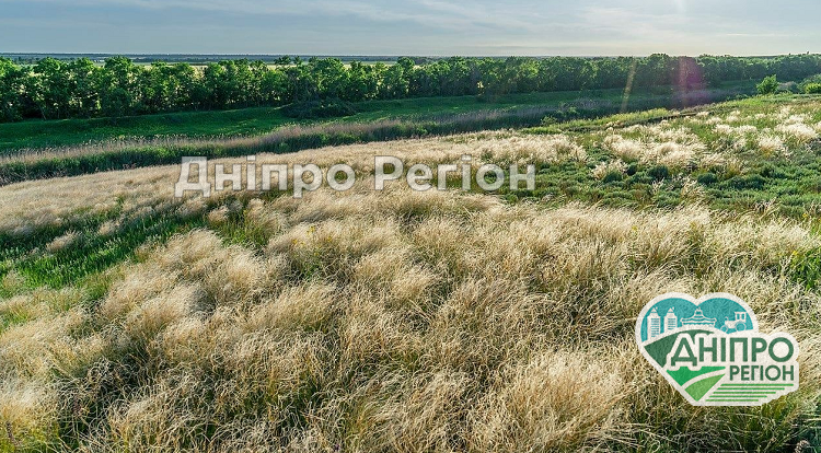На Дніпропетровщині вирішили продати цінні та особливо охоронювані природні території На Дніпропетровщині вирішили продати цінні та особливо охоронювані природні території
