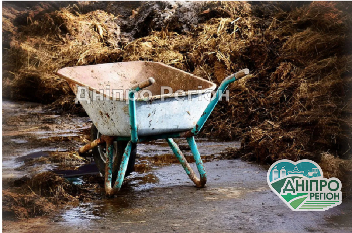 3 поширені помилки: як не можна вносити добрива 3 поширені помилки: як не можна вносити добрива