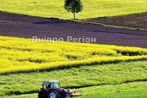 Скільки в Україні коштуватиме 1 гектар землі після 1 липня: що заплатять дніпрянам