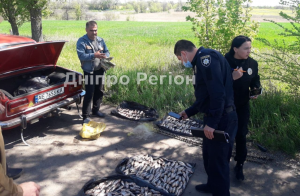 Виписали штрафів на суму понад 35 тис. грн: на Дніпропетровщині закінчилась нерестова заборона