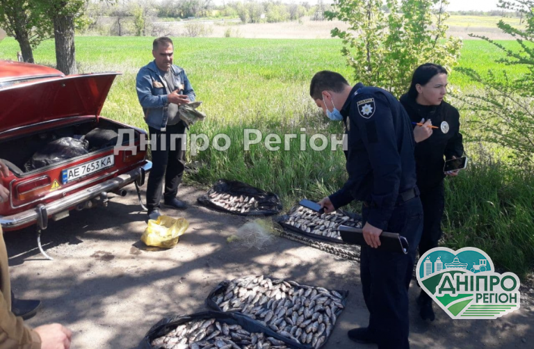 Виписали штрафів на суму понад 35 тис. грн: на Дніпропетровщині закінчилась нерестова заборона