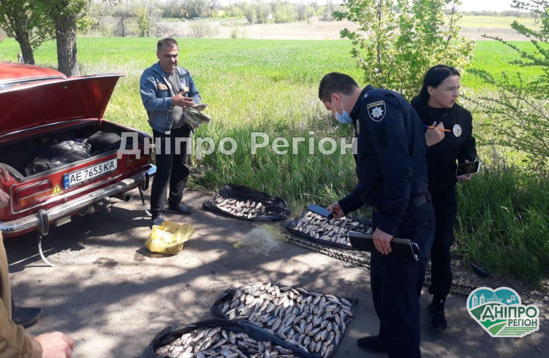 Виписали штрафів на суму понад 35 тис. грн: на Дніпропетровщині закінчилась нерестова заборона