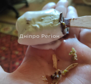 У Дніпрі продають небезпечне морозиво, яке може нашкодити дітям (ФОТО)