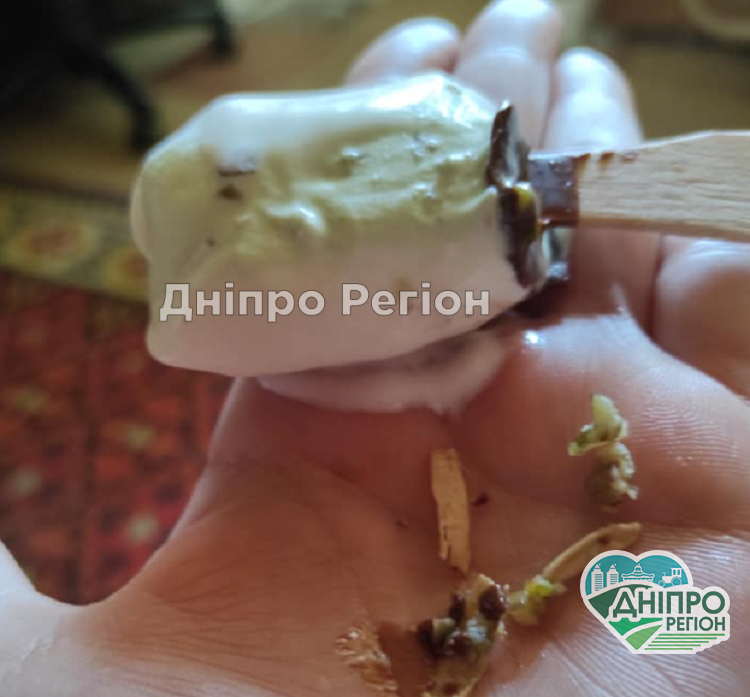 У Дніпрі продають небезпечне морозиво, яке може нашкодити дітям (ФОТО) У Дніпрі продають небезпечне морозиво, яке може нашкодити дітям (ФОТО)