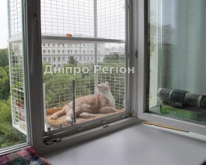 У Дніпрі коти вигуляються на котячих балконах (ФОТО)