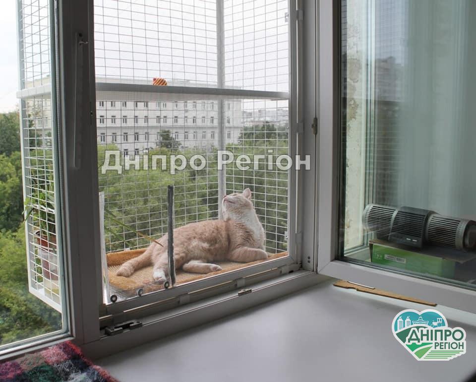 У Дніпрі коти вигуляються на котячих балконах (ФОТО) У Дніпрі коти вигуляються на кошачих балконах (ФОТО)