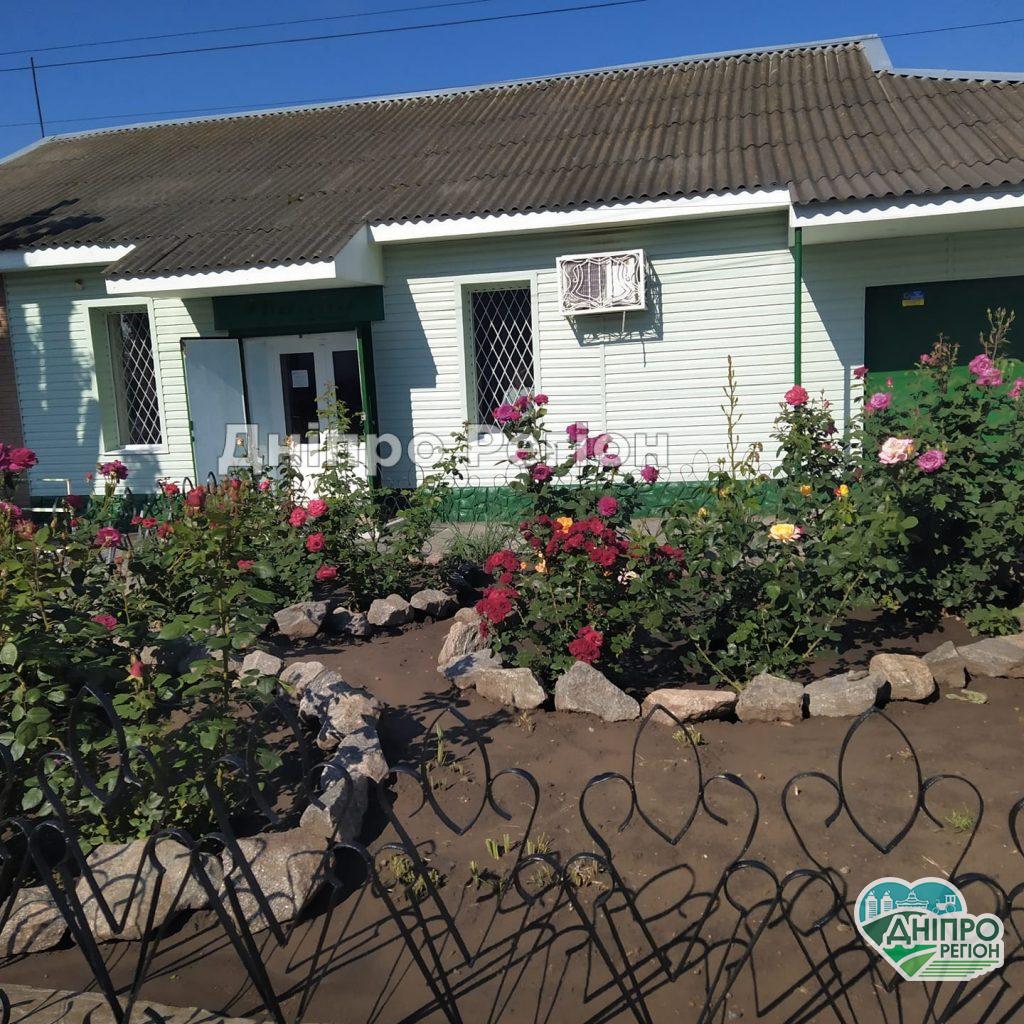 Обожнюють магазин і його хазяйку: на Дніпропетровщині люди дякують за таку красу Обожнюють магазин і його хазяйку: на Дніпропетровщині люди дякують за таку красу