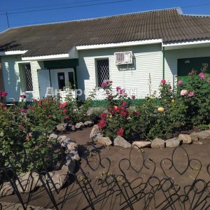 Обожнюють магазин і його хазяйку: на Дніпропетровщині люди дякують за таку красу