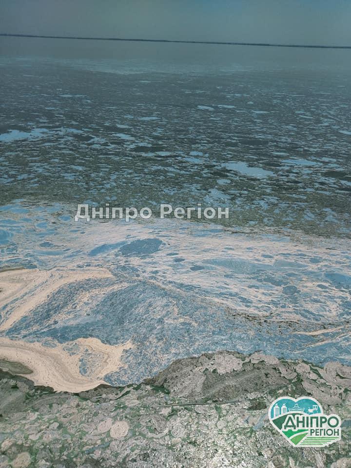На Дніпропетровщині зацвіло Каховське водосховище: купатися небезпечно (ФОТО) На Дніпропетровщині зацвіло Каховське водосховище: купатися небезпечно (ФОТО)