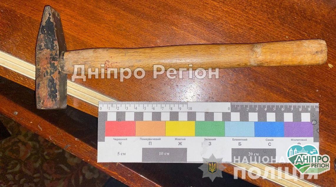 Вбив власну матір та побив її співмешканця: на Дніпропетровщині поліцейські затримали чолов