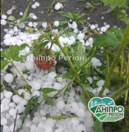 У Дніпрі та області випав крупний град і наробив чимало лиха (ФОТО) Під Дніпром крупний град засипав людські городи (ФОТО)