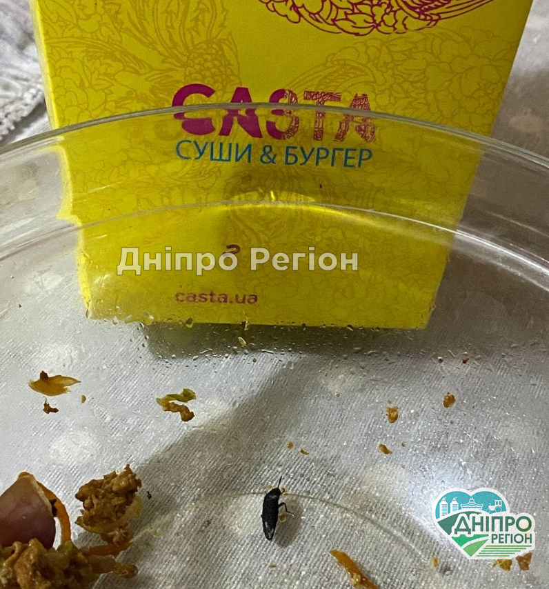 Він же не живий: у Дніпрі із ресторану привезли страву із жуком (ФОТО) Він же не живий: у Дніпрі із ресторану привезли страву із жуком (ФОТО)